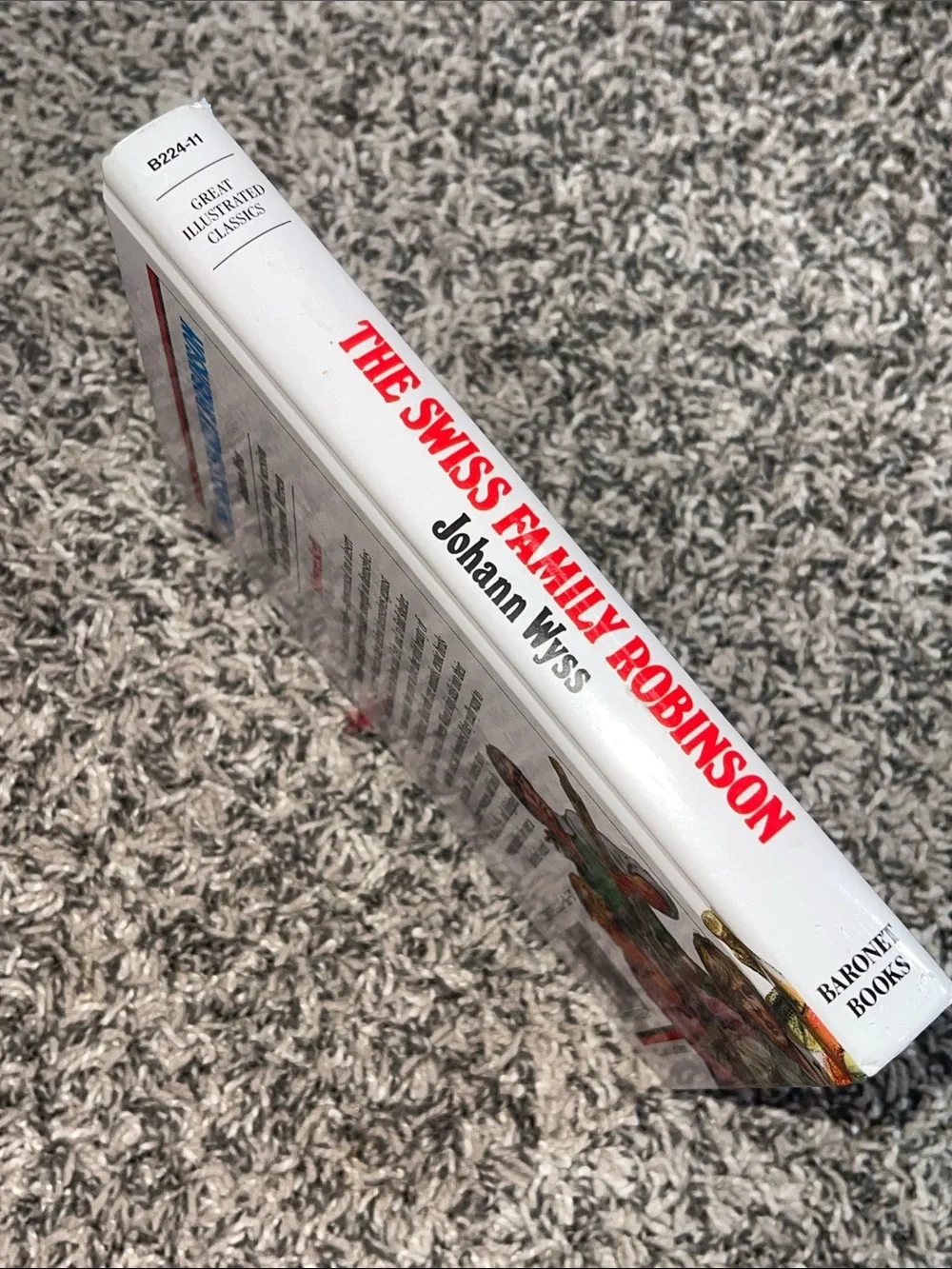Book: the Swiss family Robinson by Johann Wyss